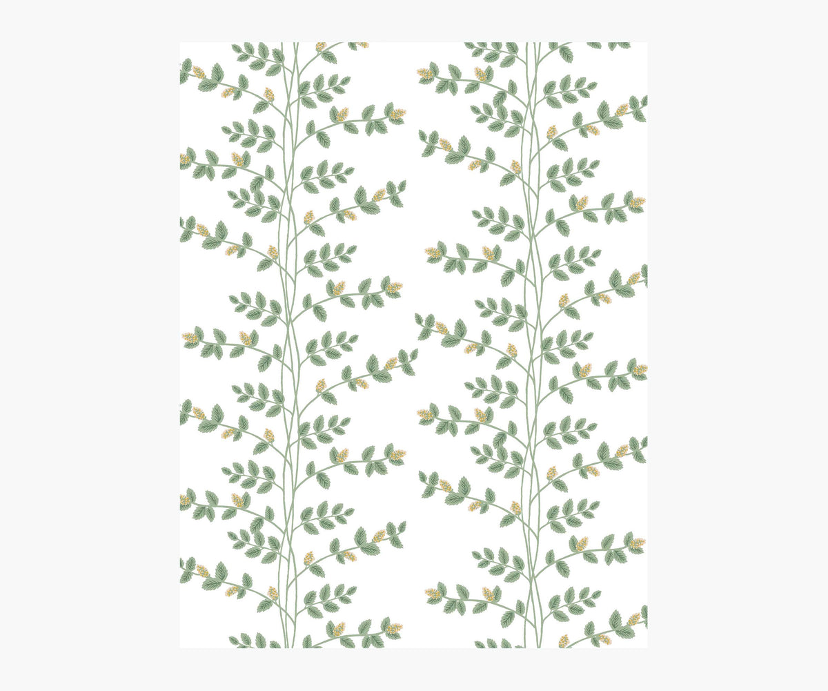 Tracy & Co Climbing Vines Wallpaper Sample - White & Metallic Gold