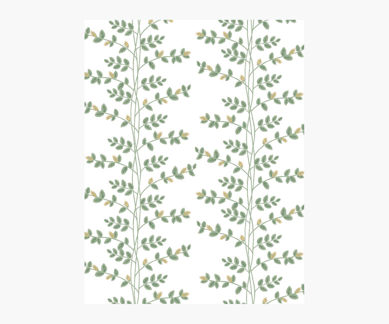 Tracy & Co Climbing Vines Wallpaper Sample - White & Metallic Gold