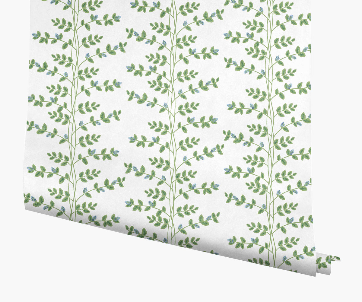 Tracy & Co Climbing Vines Wallpaper - White & Blue