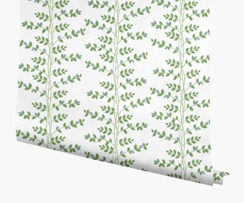 Tracy & Co Climbing Vines Wallpaper - White & Blue