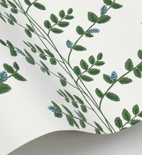 Tracy & Co Climbing Vines Wallpaper - White & Blue