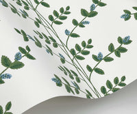 Tracy & Co Climbing Vines Wallpaper Sample - White & Blue