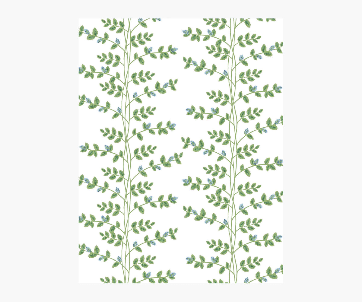 Tracy & Co Climbing Vines Wallpaper Sample - White & Blue