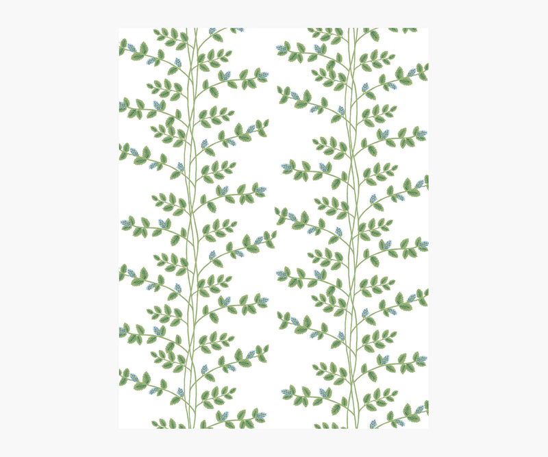 Tracy & Co Climbing Vines Wallpaper Sample - White & Blue
