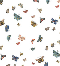 Tracy & Co Butterfly House Wallpaper - White