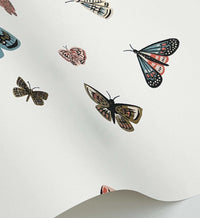 Tracy & Co Butterfly House Wallpaper - White