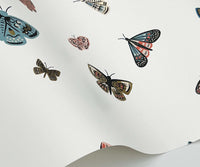 Tracy & Co Butterfly House Wallpaper Sample - White