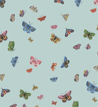 Tracy & Co Butterfly House Wallpaper - Light Blue