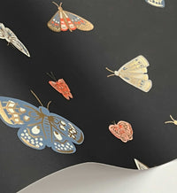 Tracy & Co Butterfly House Wallpaper - Black