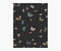 Tracy & Co Butterfly House Wallpaper Sample - Black