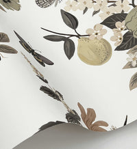 Tracy & Co Flower Studies Wallpaper - Linen