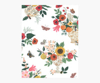 Tracy & Co Flower Studies Wallpaper Sample - Rose Multi
