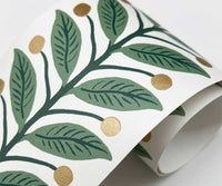 Tracy & Co Garden Trim Wallpaper - Green
