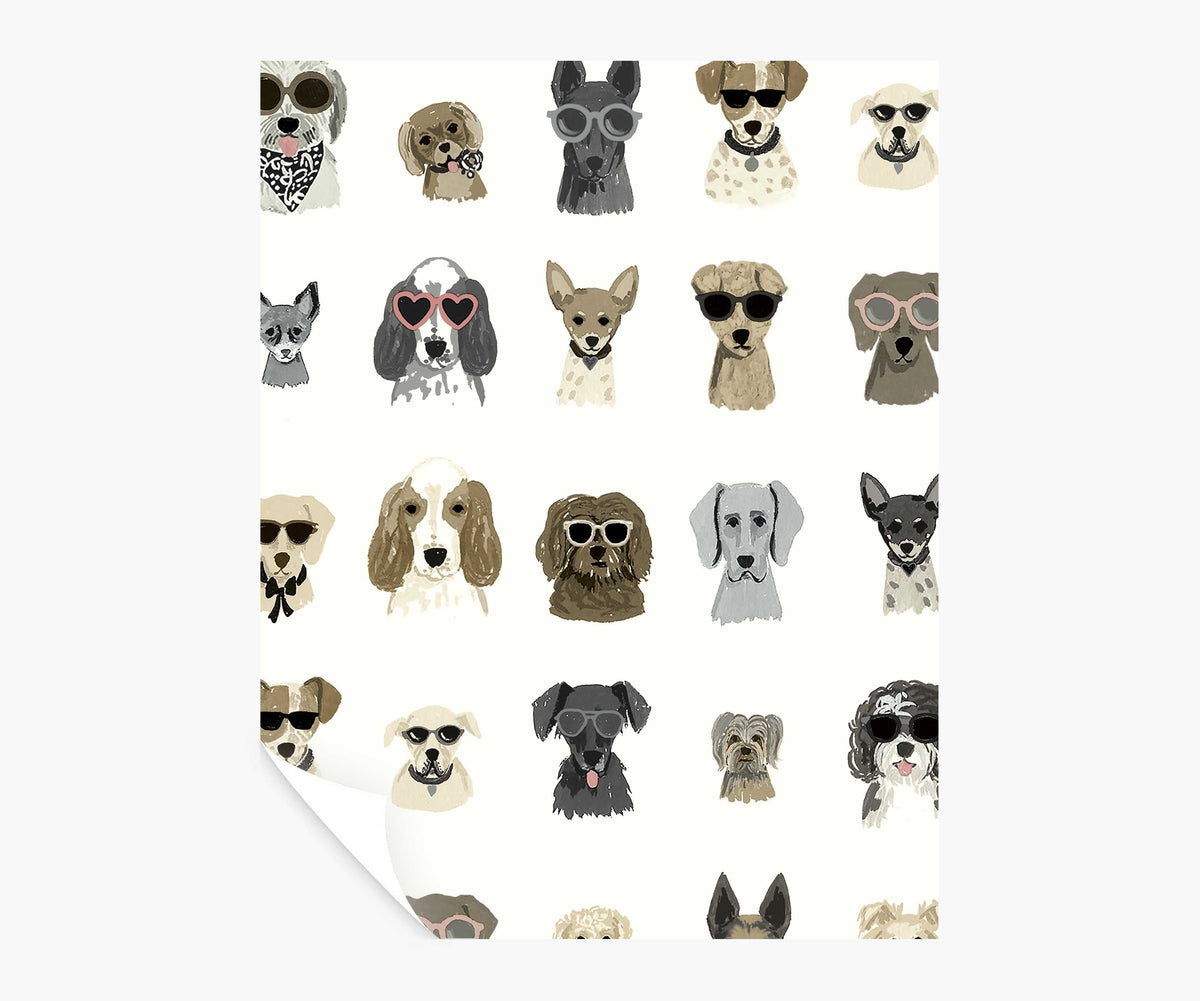 Tracy & Co Dog Days Peel & Stick Wallpaper Sample - Grey