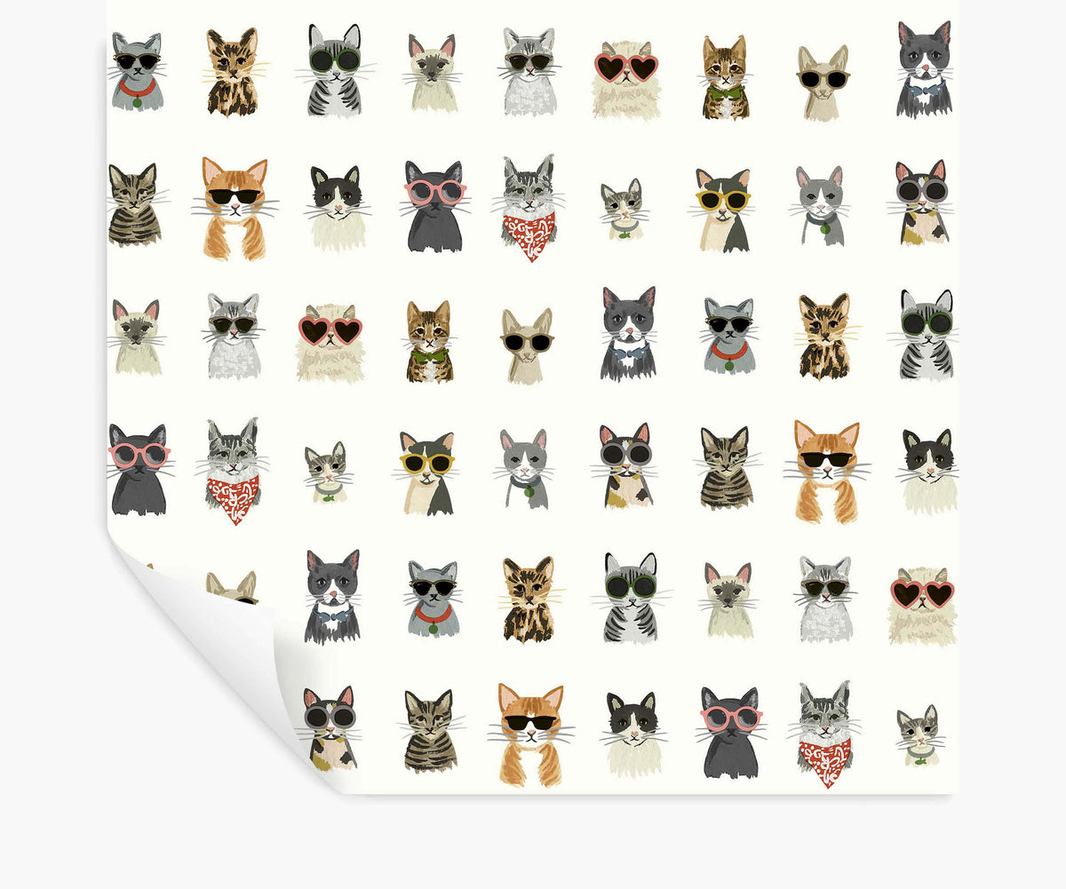 Tracy & Co Cool Cats Peel & Stick Wallpaper - White Multi
