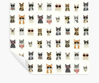 Tracy & Co Cool Cats Peel & Stick Wallpaper - White Multi