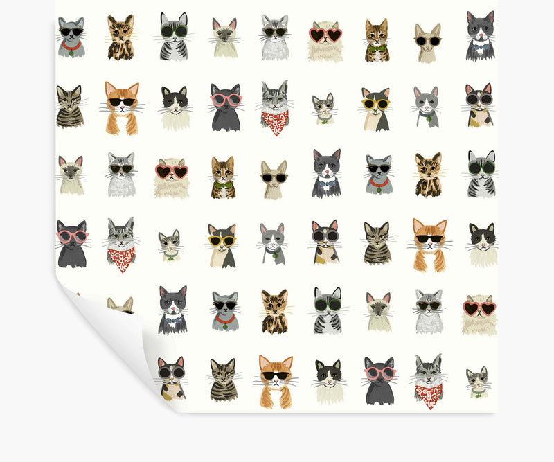Tracy & Co Cool Cats Peel & Stick Wallpaper - White Multi