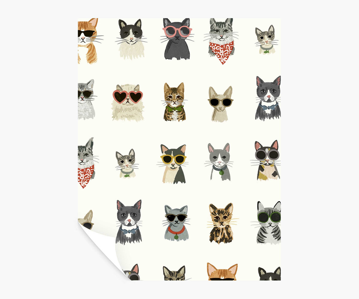 Tracy & Co Cool Cats Peel & Stick Wallpaper Sample - White Multi