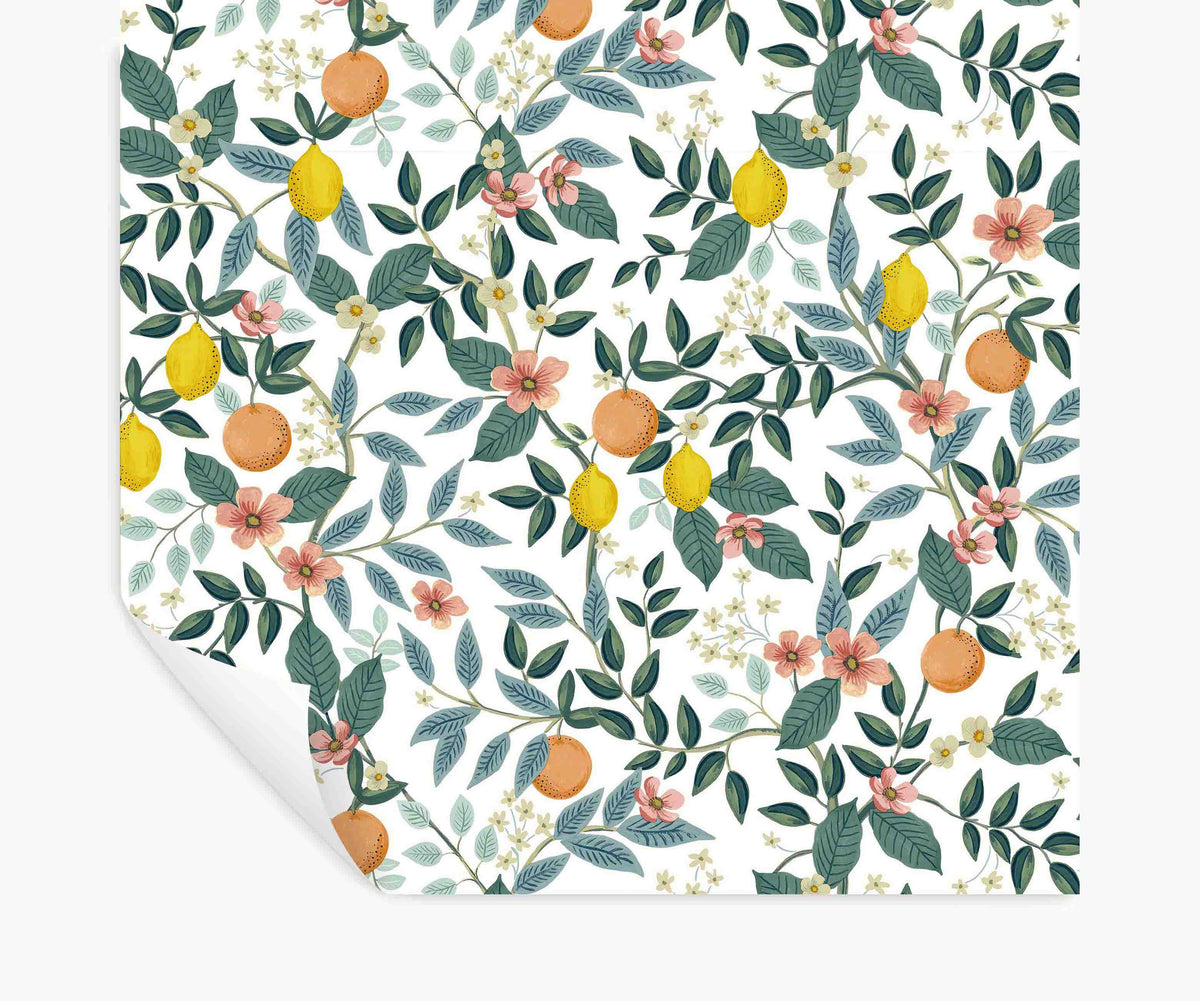 Tracy & Co Citrus Grove Peel & Stick Wallpaper - White