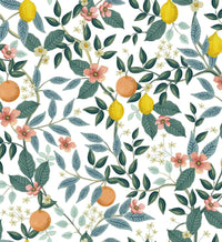 Tracy & Co Citrus Grove Peel & Stick Wallpaper - White
