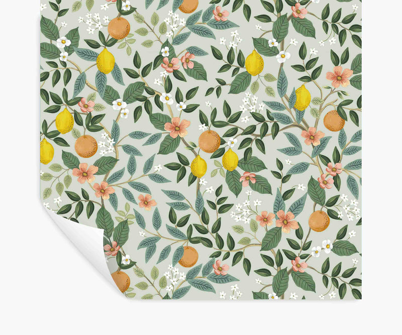 Tracy & Co Citrus Grove Peel & Stick Wallpaper - Mint