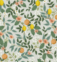 Tracy & Co Citrus Grove Peel & Stick Wallpaper - Mint