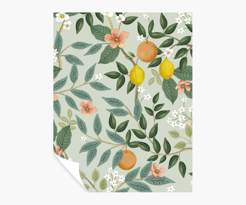 Tracy & Co Citrus Grove Peel & Stick Wallpaper Sample - Mint