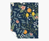 Tracy & Co Citrus Grove Peel & Stick Wallpaper Sample - Navy