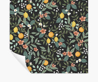 Tracy & Co Citrus Grove Peel & Stick Wallpaper - Black