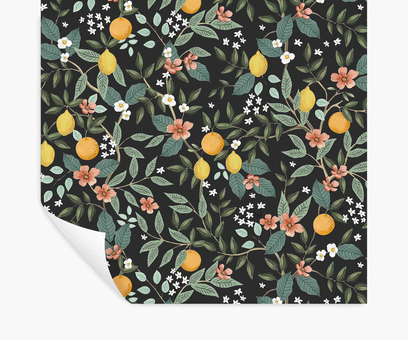 Tracy & Co Citrus Grove Peel & Stick Wallpaper - Black