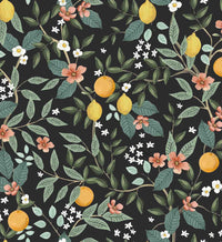 Tracy & Co Citrus Grove Peel & Stick Wallpaper - Black
