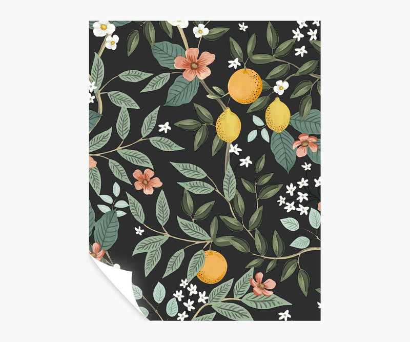 Tracy & Co Citrus Grove Peel & Stick Wallpaper Sample - Black