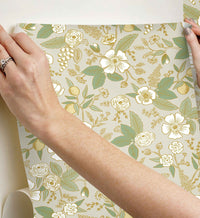 Tracy & Co Colette Peel & Stick Wallpaper - Linen