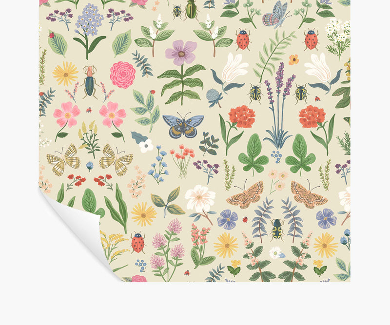 Tracy & Co Curio Peel & Stick Wallpaper - Cream